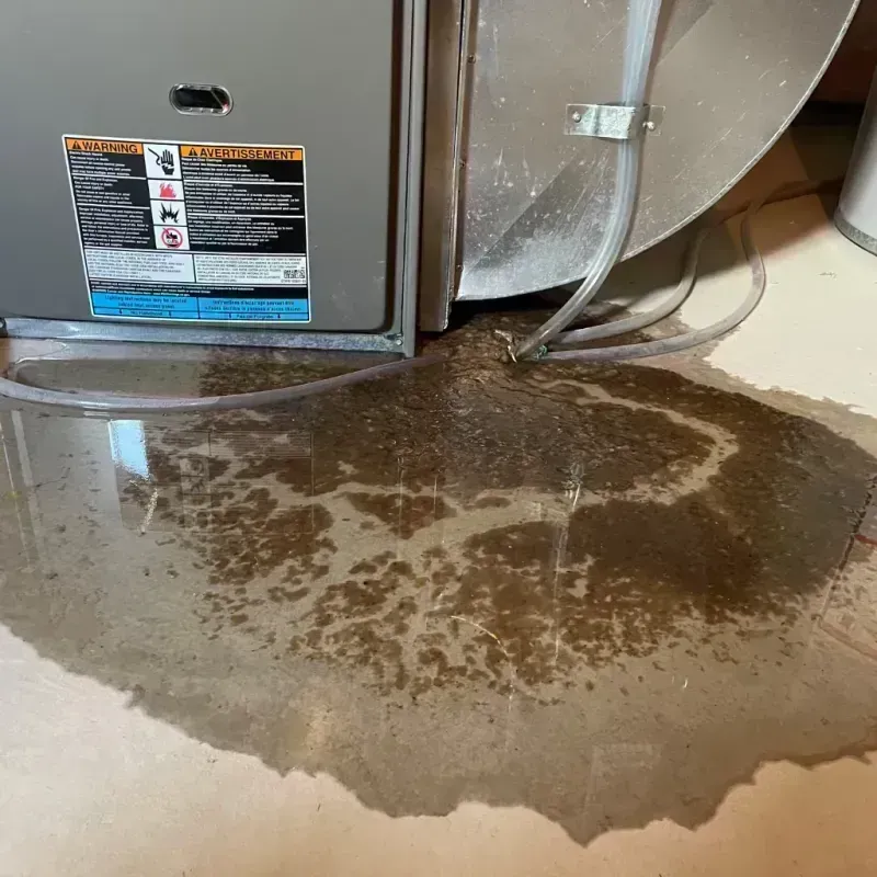 Appliance Leak Cleanup in Greenwood, MO